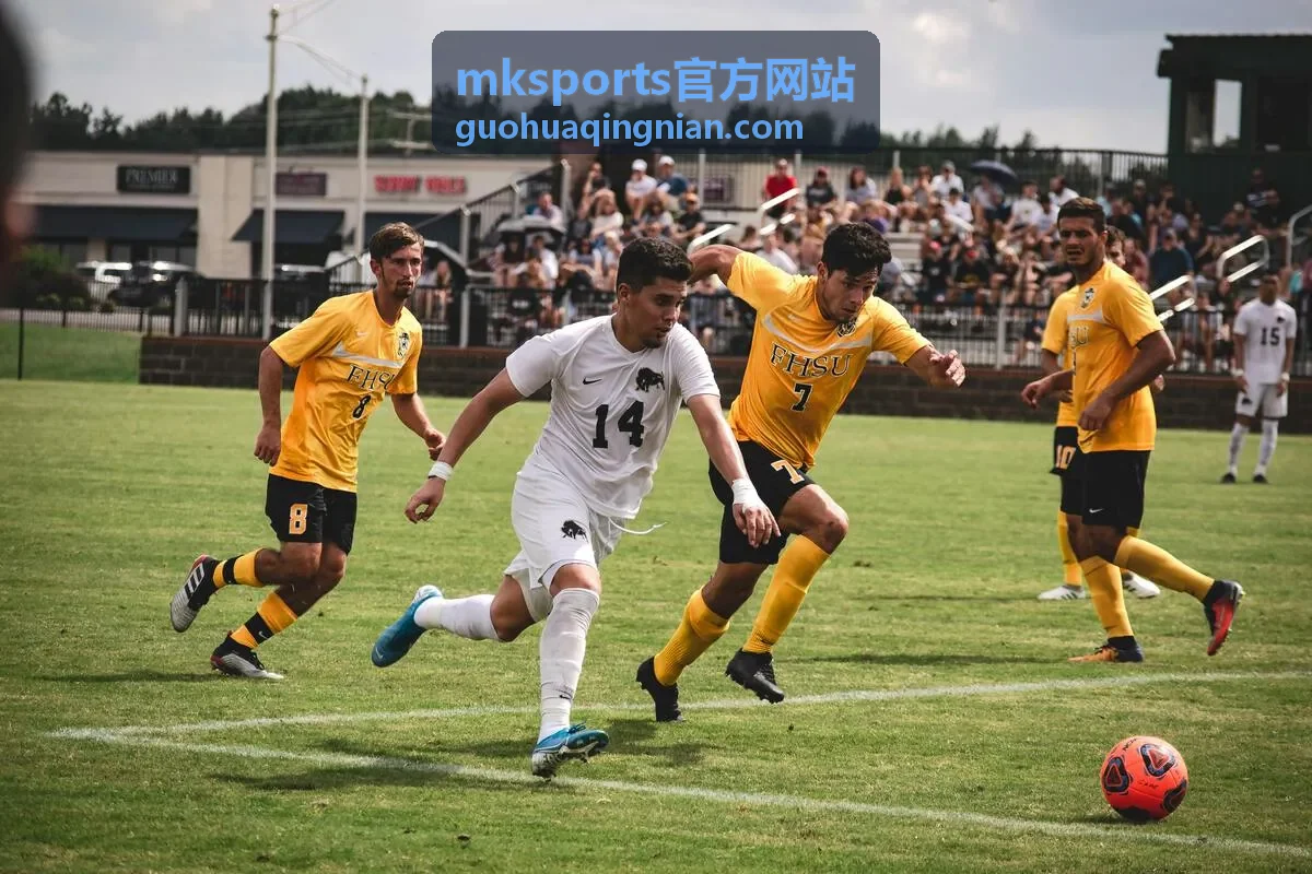 mksports官方网站数据复盘会员权益场景图